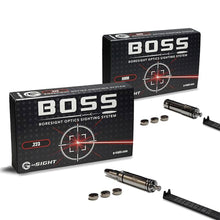 Load image into Gallery viewer, 2 PACK BOSS BORESIGHT 9mm &amp; .223